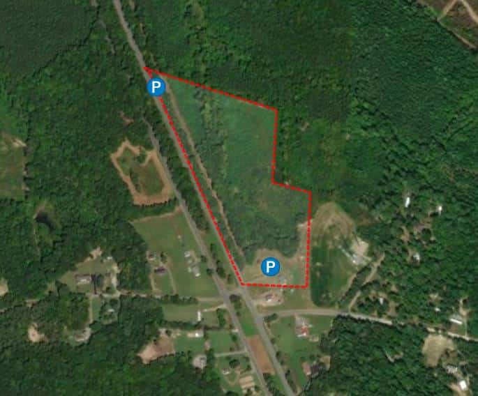 Tidewater Deer Forest