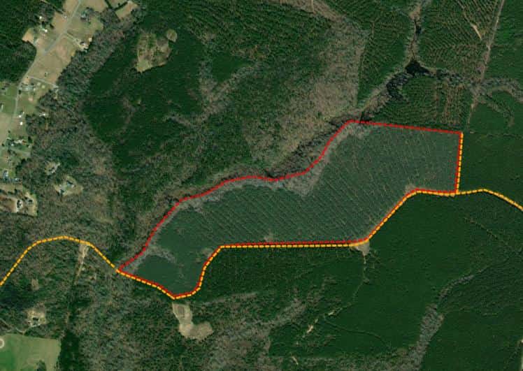 Sycamore Grove 116