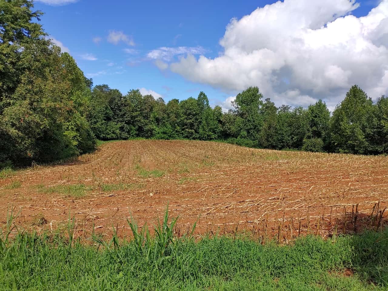 Plum Ridge South