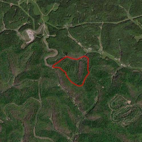 Quaker Fork Hunting