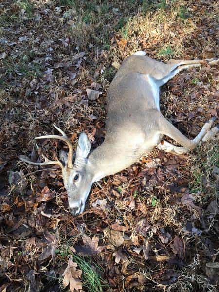 Scoby Woods - Hunting, Fishing, and Camping