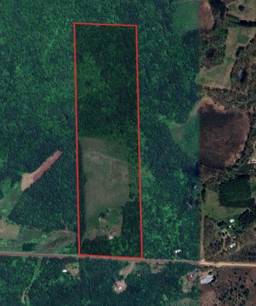 40 Acres Kanabec County Archery Hunting - Photo 1
