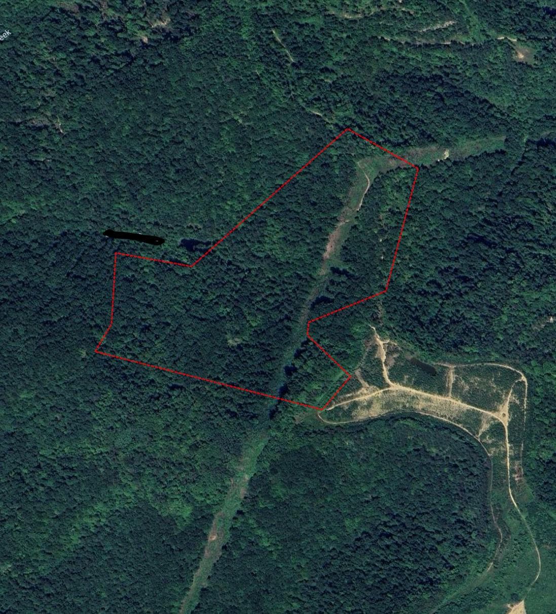 65 Acre Lawrance County KY Hunting lease - Photo 1