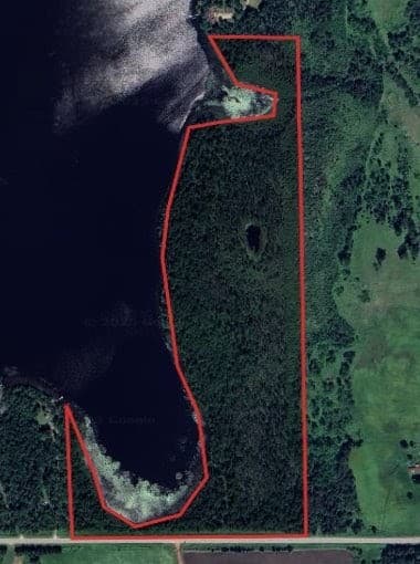 48 Acre Itasca County Hunting 2 Properties - Photo 1