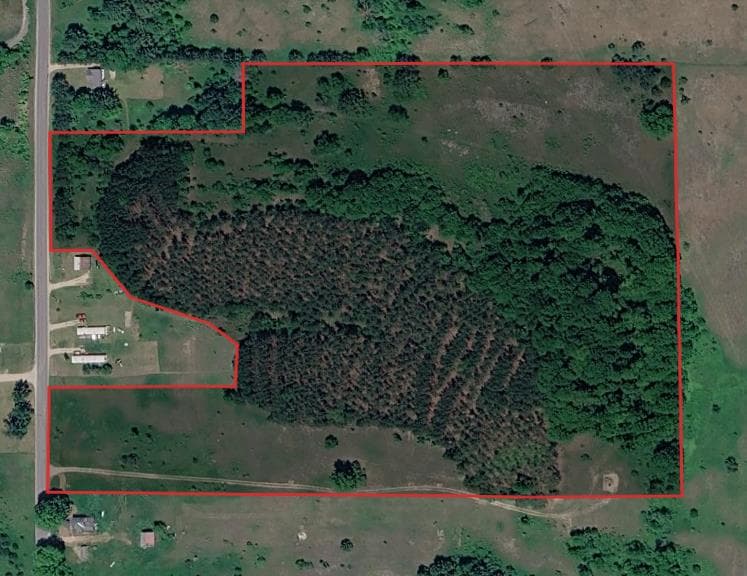 25 Acre Antrim County Hunting Lease - Photo 1